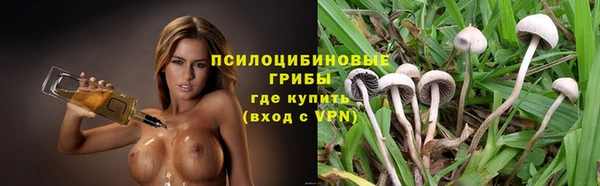МДПВ Абаза