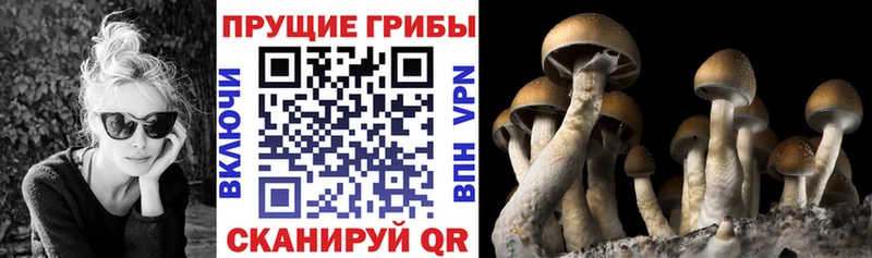 Псилоцибиновые грибы ЛСД Кировград