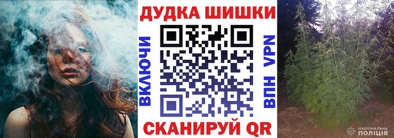 Бошки Шишки Amnesia Кировград